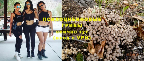 mdpv Армянск