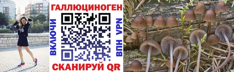Галлюциногенные грибы Cubensis Армянск